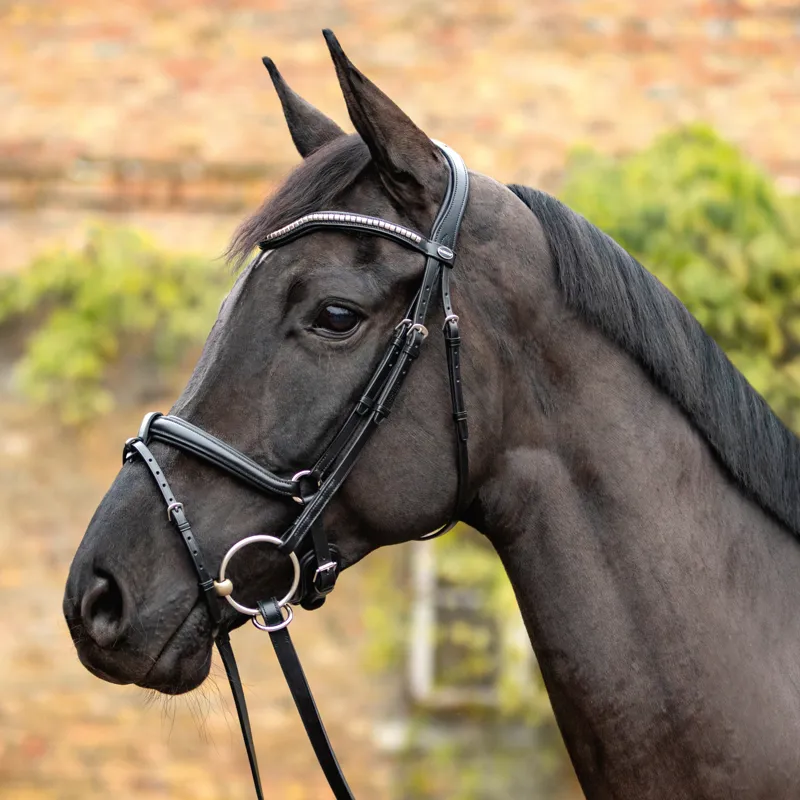 Passier Balance Snaffle Bridle-1