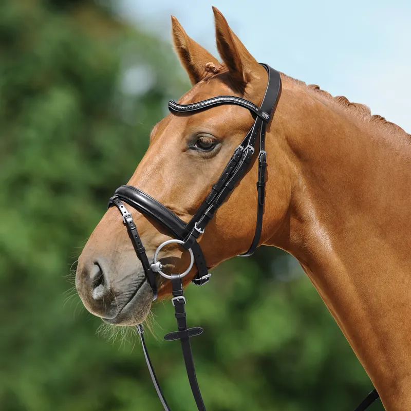 Passier Juno Snaffle Bridle Black-1