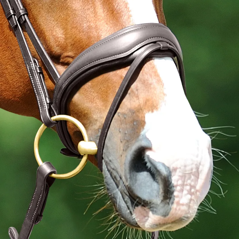 PASSIER Exchangeable Anatomically Formed Flash Noseband-1