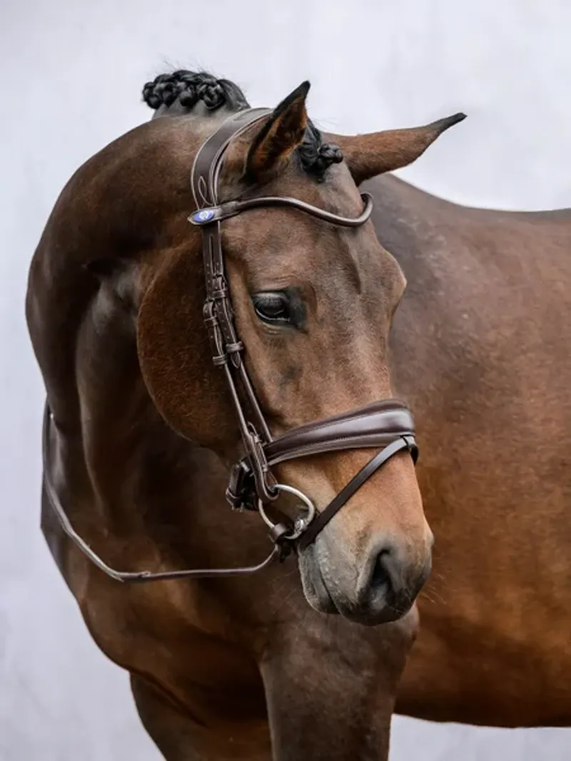 PS of Sweden GP Bridle - Brown