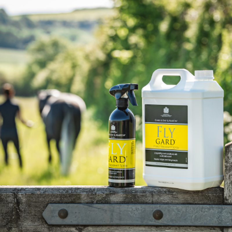 Carr and Day and Martin Flygard - 5 lt-1