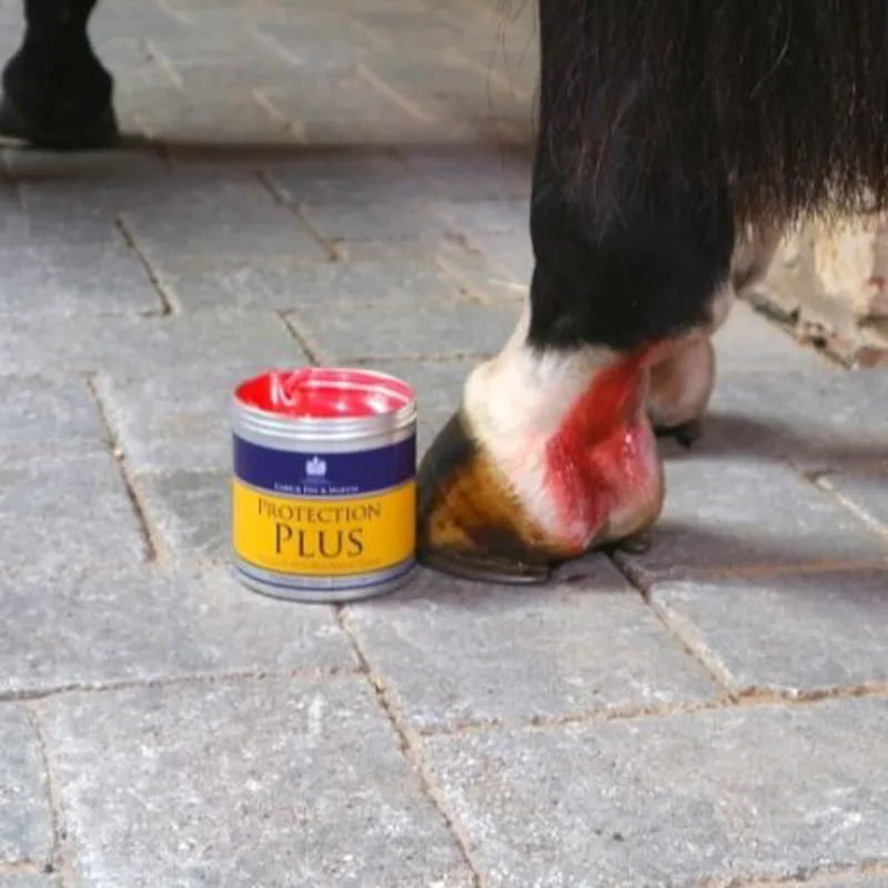 Carr and Day and Martin Protection Plus - 500 ml-2