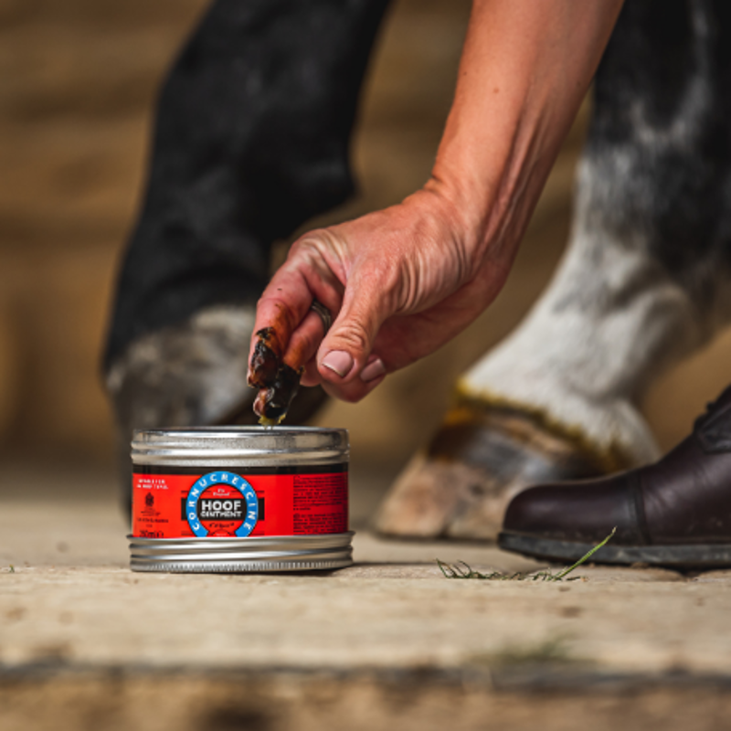 Carr and Day and Martin Cornucrescine Original Hoof Ointment - 250 ml-2
