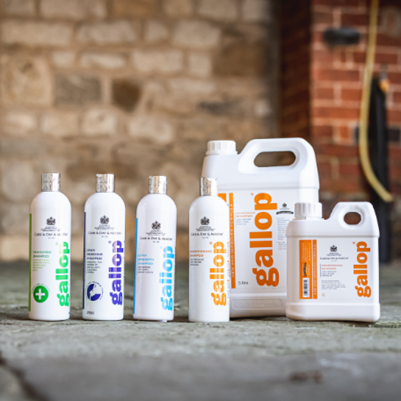 Carr and Day and Martin Gallop Conditioning Shampoo - 5 lt-1