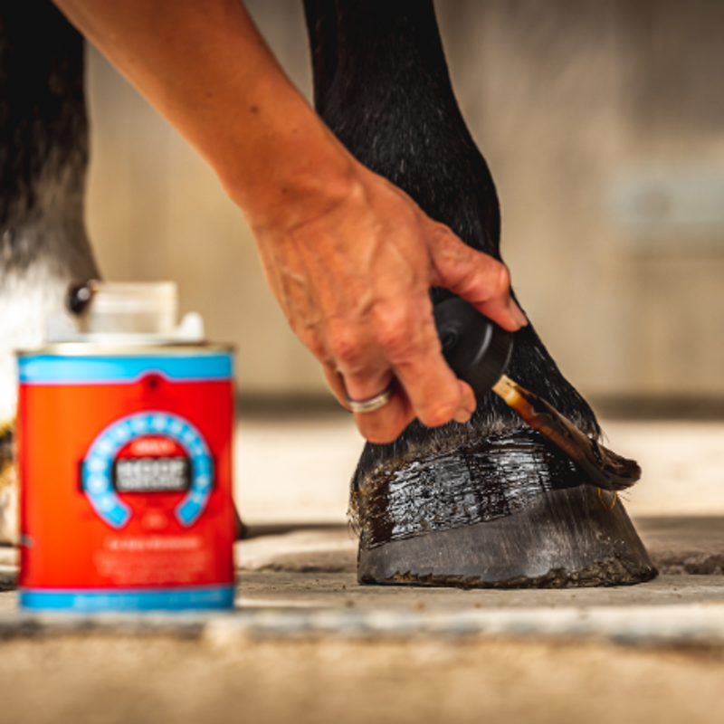 Carr and Day and Martin Cornucrescine Daily Hoof Dressing - 500 ml-2