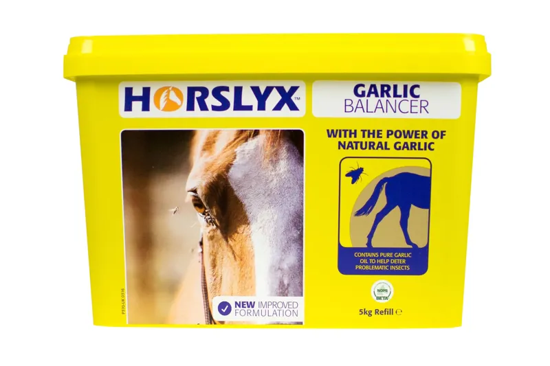 Horslyx Balancer Lick - 5 kg garlic