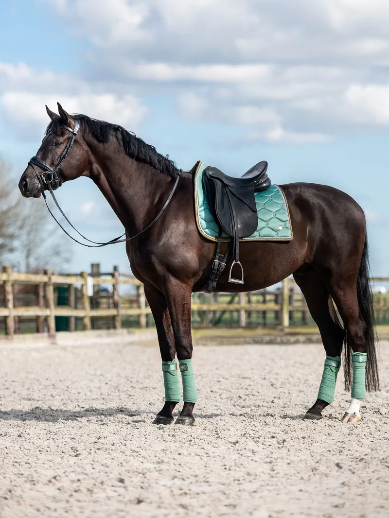 PS of Sweden Dressage Signature Saddle Pad - Celadon-3