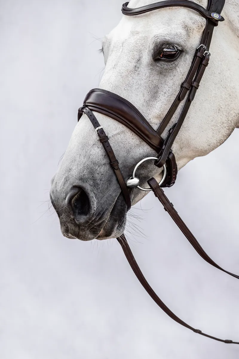 PS of Sweden Flying Change Bridle Black-2