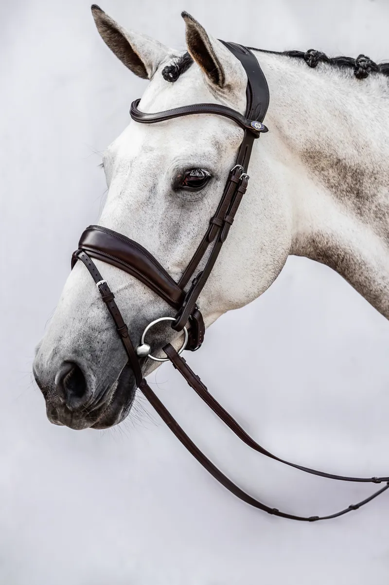 PS of Sweden Flying Change Bridle Black