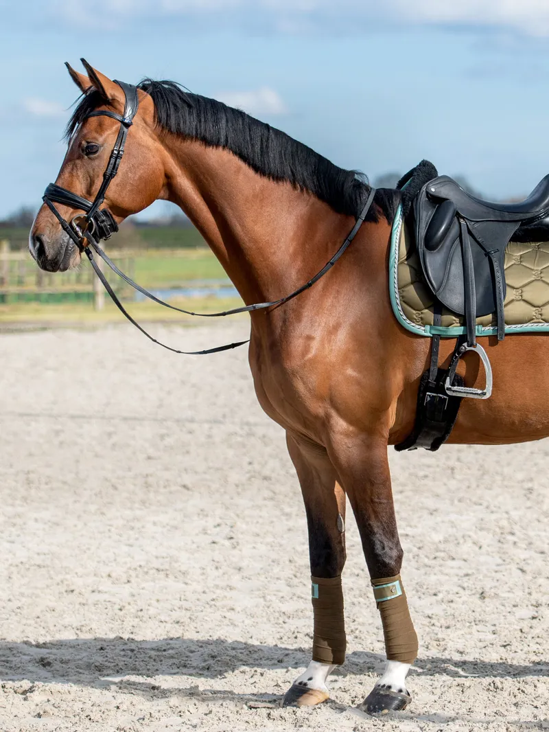 PS of Sweden Dressage Signature Saddle Pad -  Olive-4