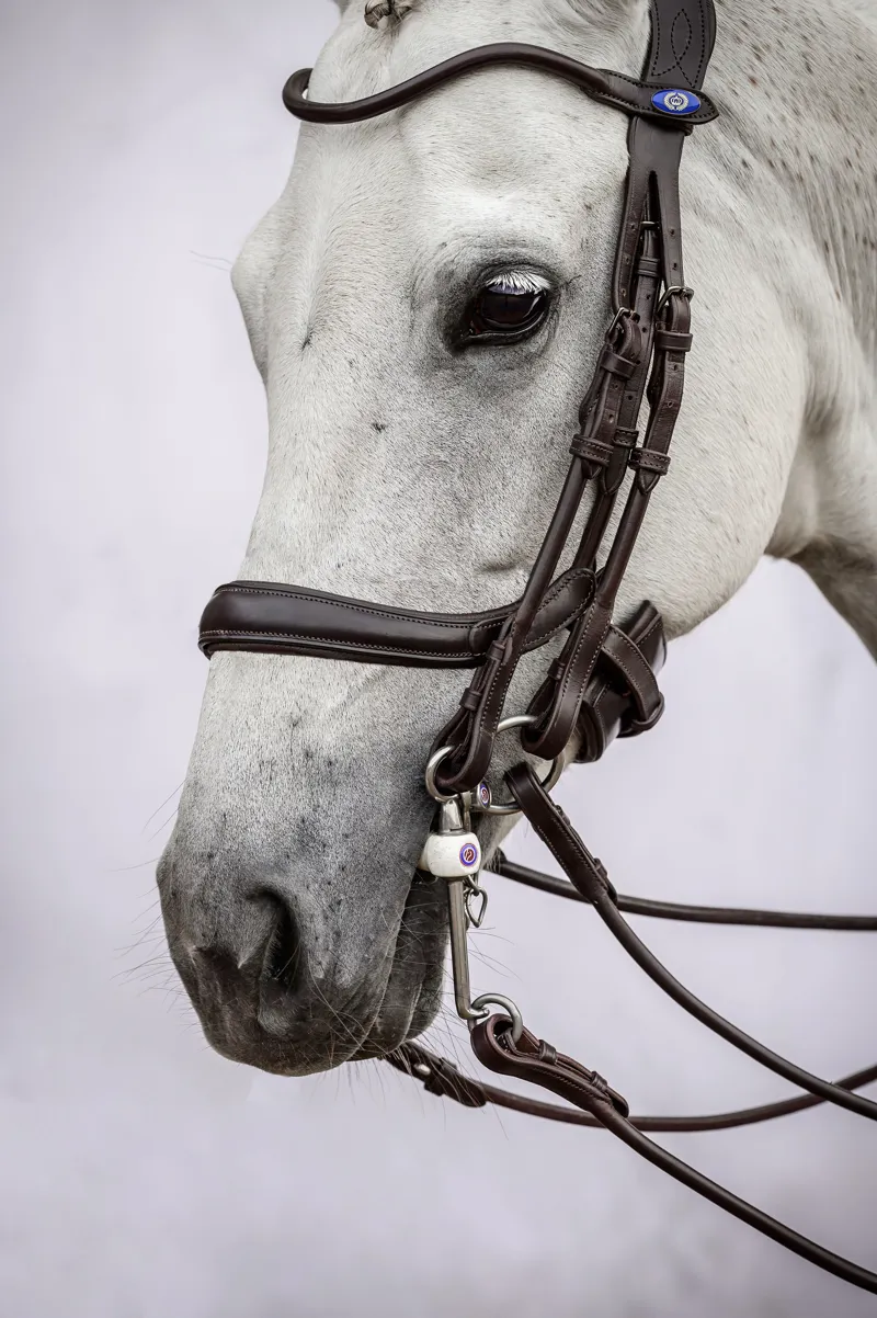 PS of Sweden Paragon Double Bridle - Black-1