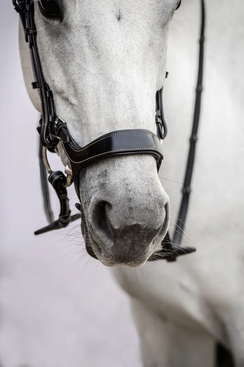 PS of Sweden Pioneer Bridle Black-2