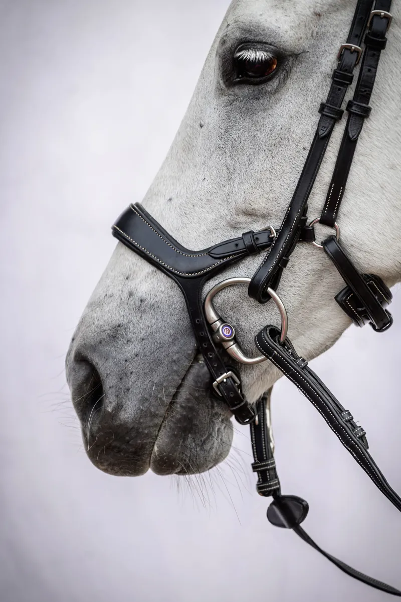 PS of Sweden Pioneer Bridle Black-3