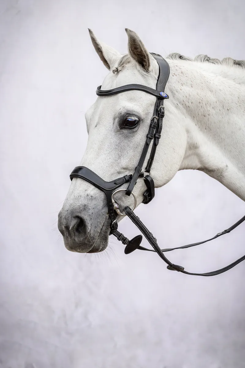 PS of Sweden Pioneer Bridle Black
