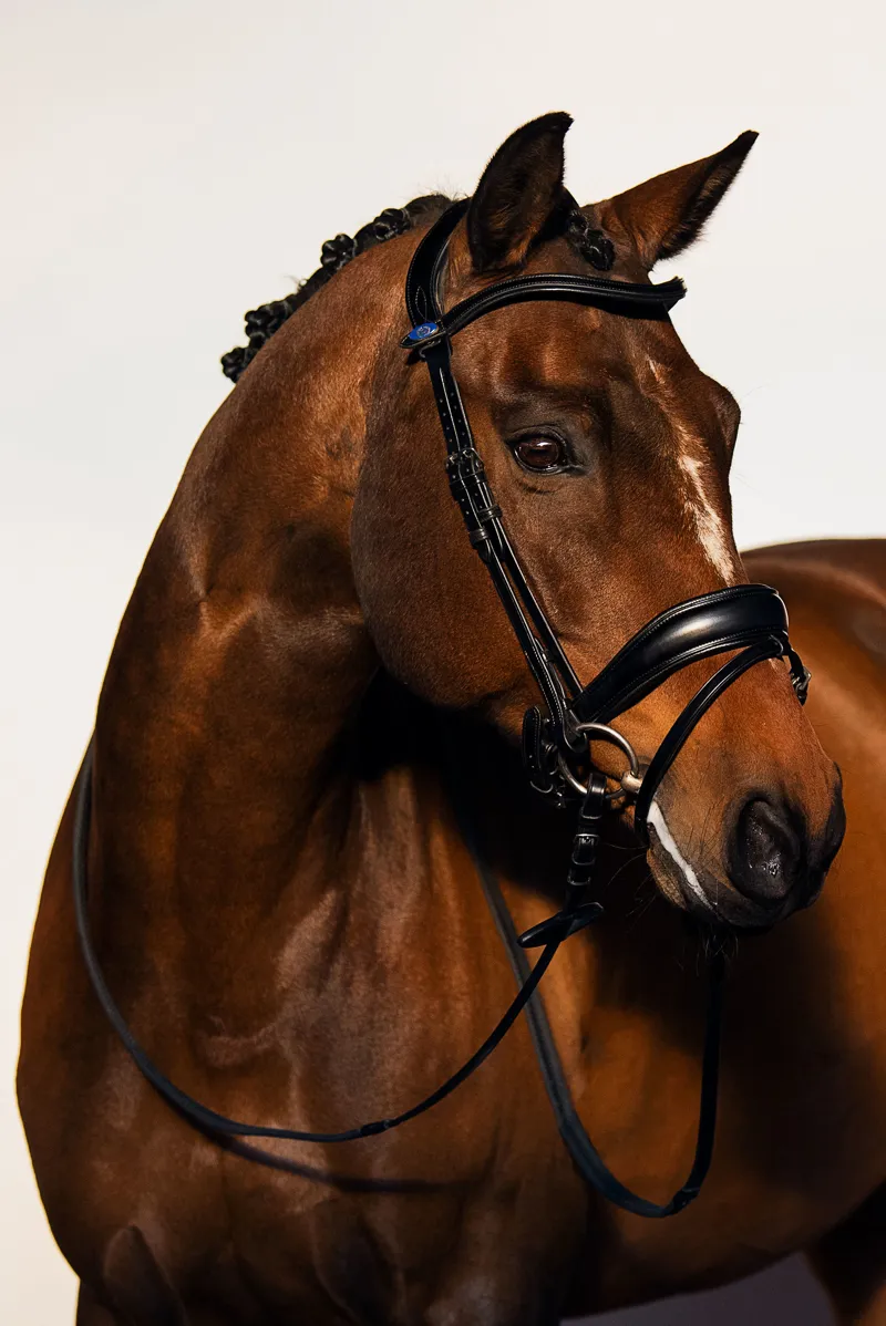 PS of Sweden Flying Change Bridle Black-4