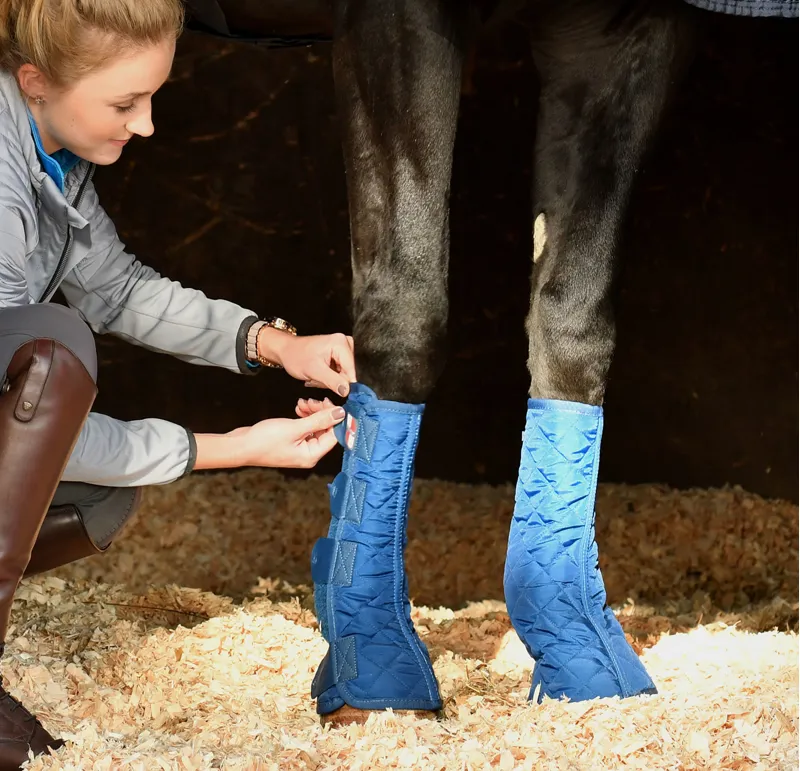 Equilibrium Equi-Chaps Stable Chaps - Blue-1