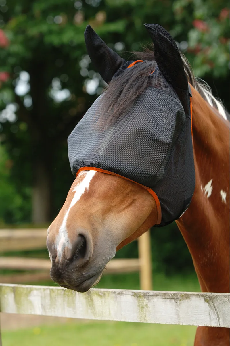 Equilibrium Field Relief Midi Fly Mask With Ears-2