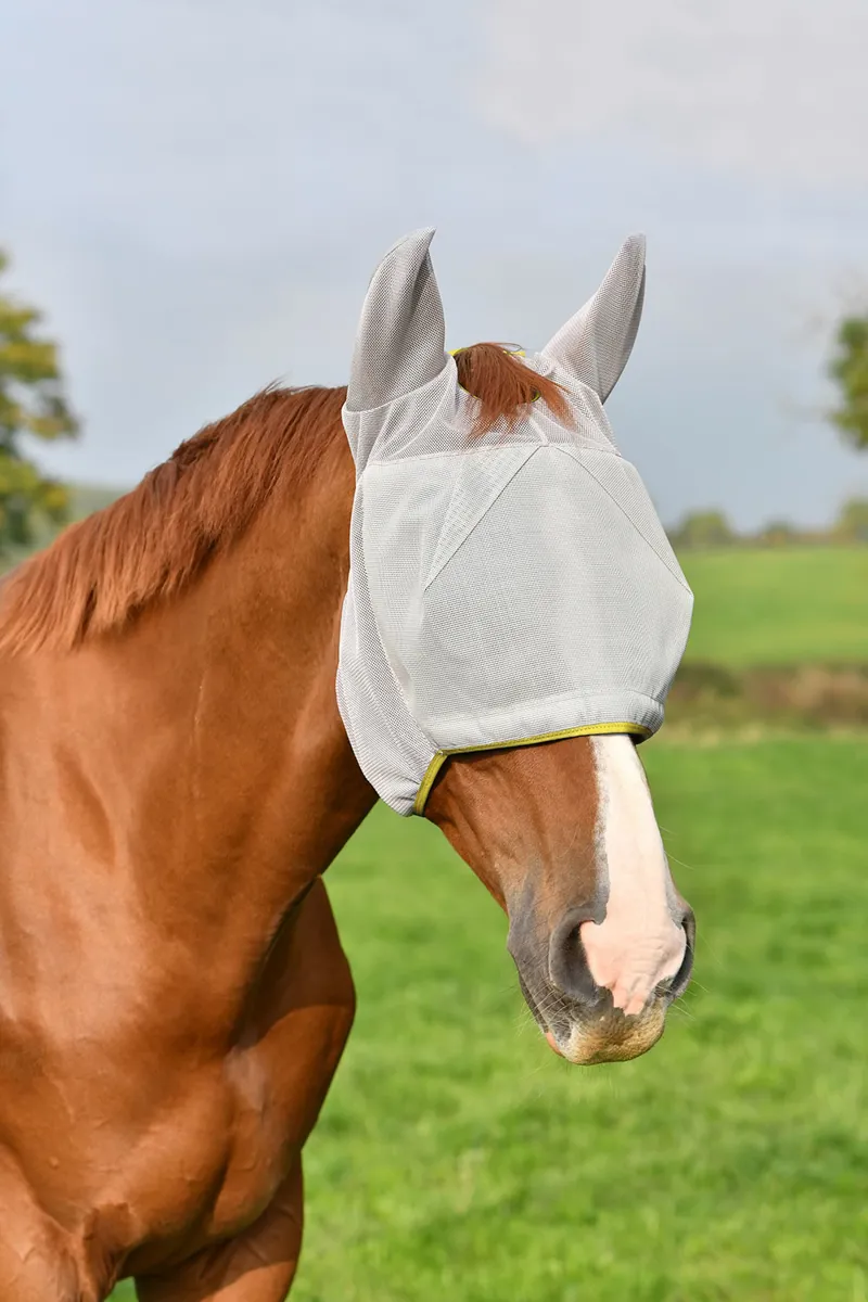 Equilibrium Field Relief Midi Fly Mask With Ears - Grey/Yellow
