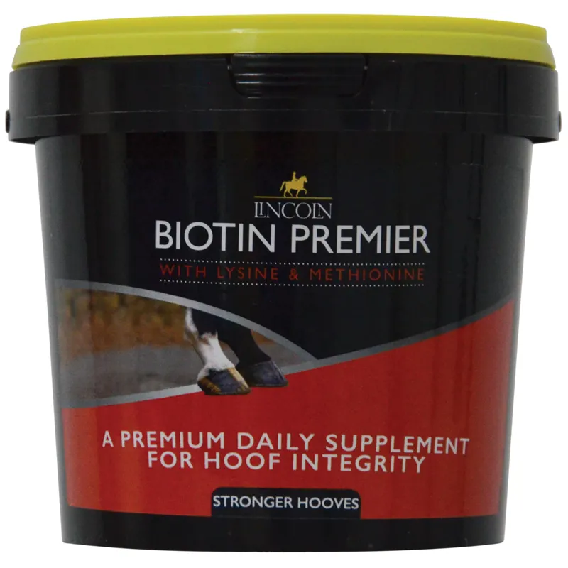Lincoln Biotin 600g Supplement