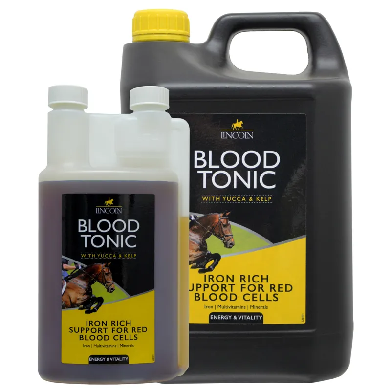 Lincoln BHB Blood Tonic