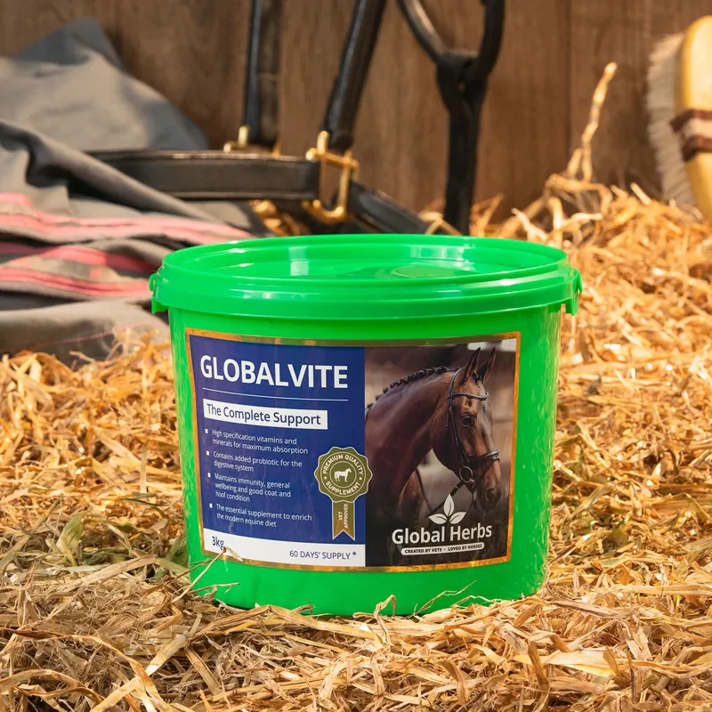 Global Herbs 3kg GlobalVite Supplement