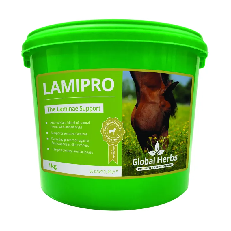 Global Herbs 1kg LamiPro Supplement