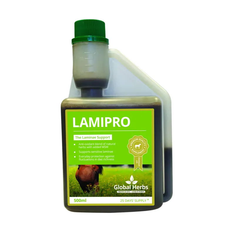 Global Herbs 500ml LamiPro Supplement 