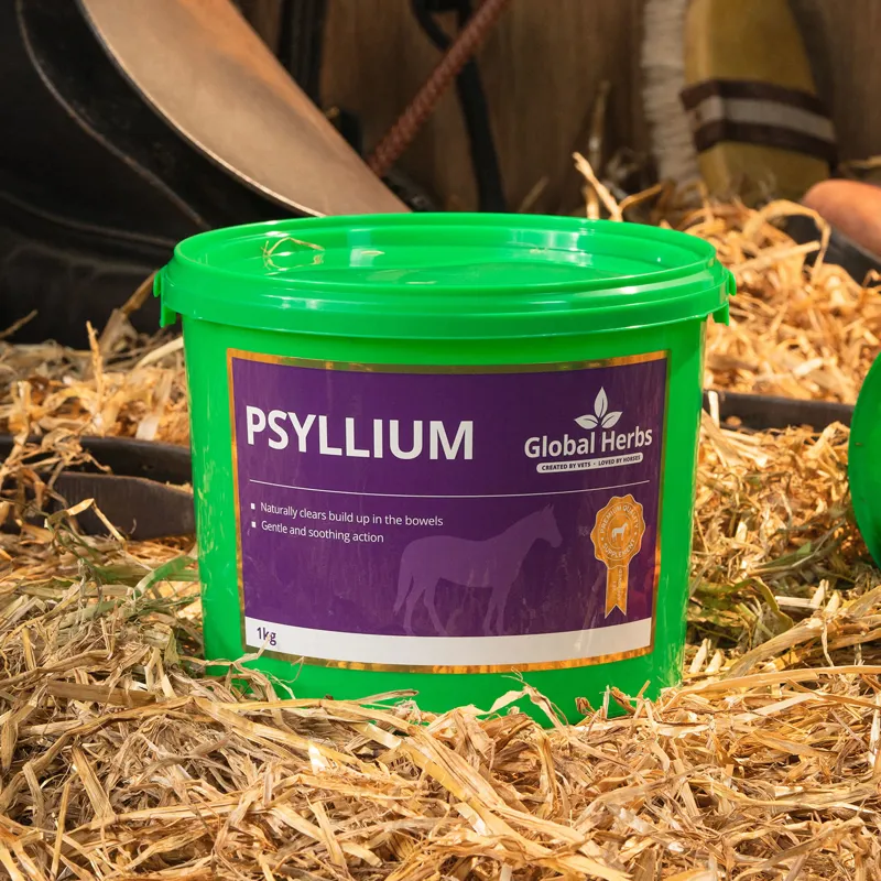Global Herbs 1kg Psyllium Supplement