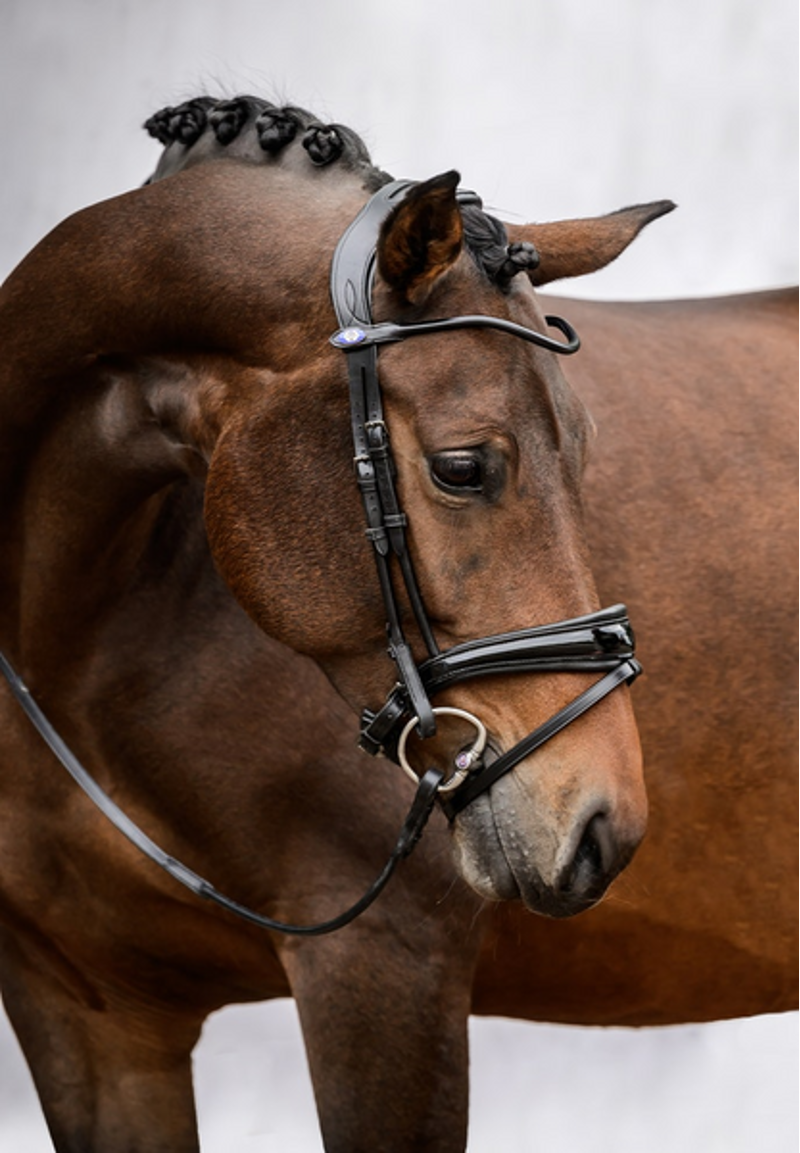 PS of Sweden GP Lacquer Bridle - Black