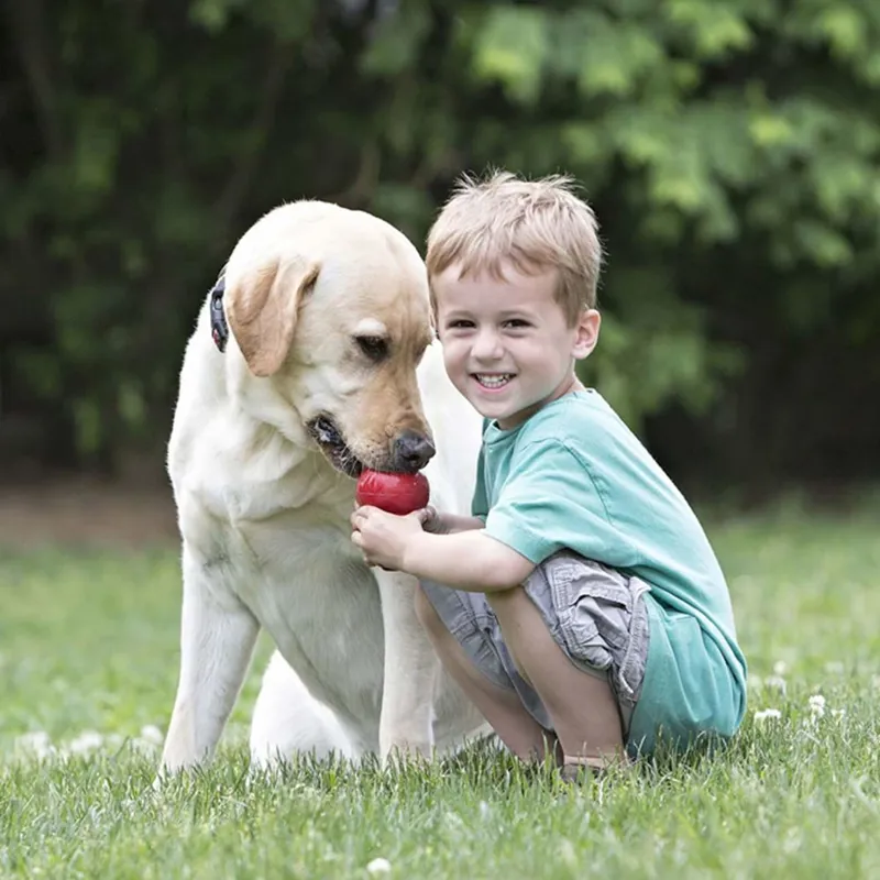 Kong Medium Classic Toy