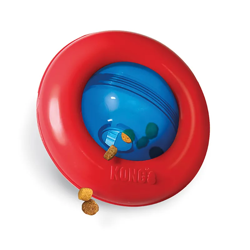 Kong Large Gyro Toy