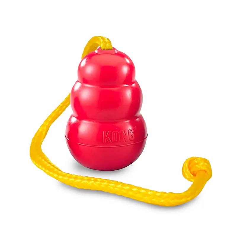 KONG Classic With Rope - Large-1