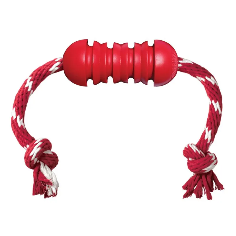 Kong Medium Dental with Rope