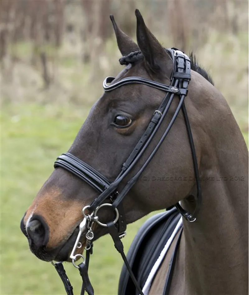 Passier Patent Boston Rolled Double Bridle Black