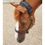 Premier Equine Magni-Teque Magnetic Poll