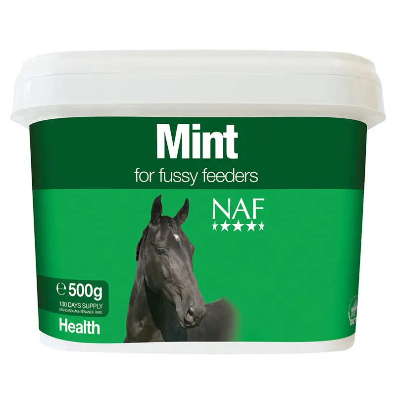 NAF Mint 500 gm