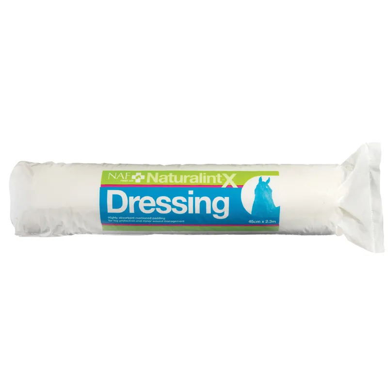 NAF NaturalintX Dressing - 500 gm