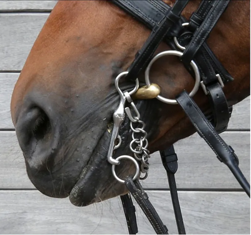 Neue Schule Svelte Weymouth 5cm Shanks-1