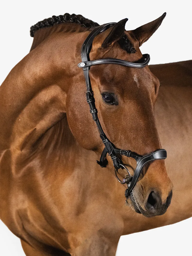 PS of Sweden Nirak Bridle Black-6