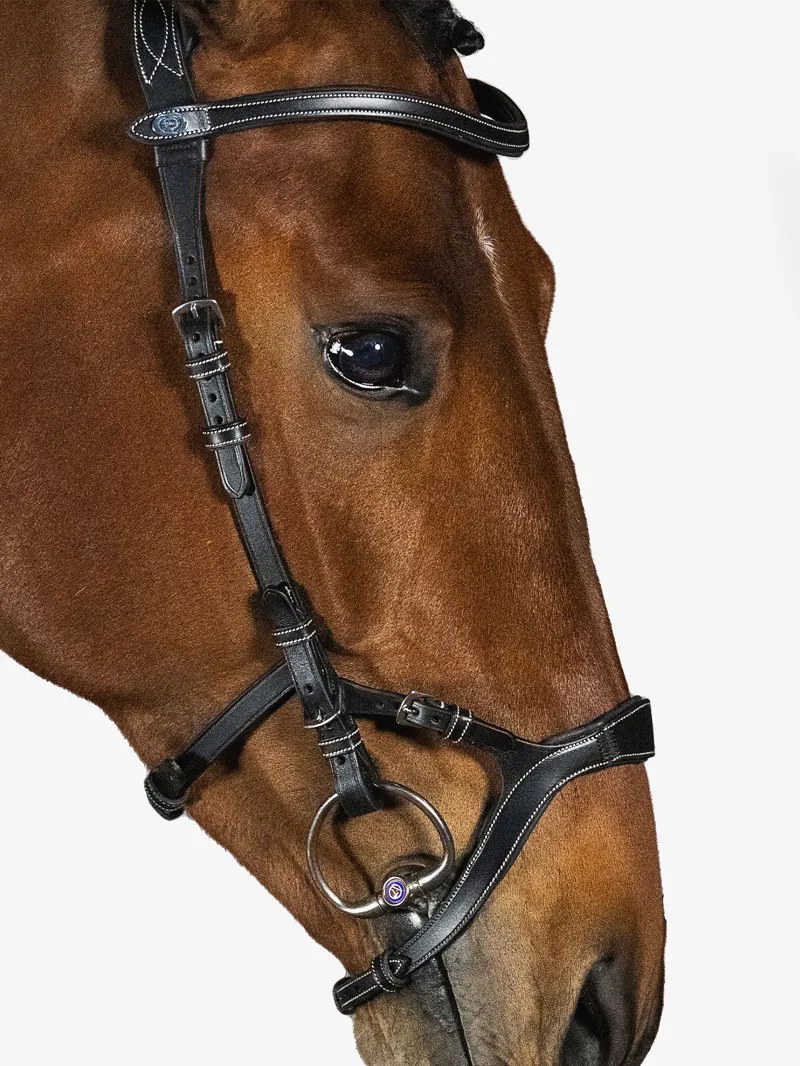 PS of Sweden Nirak Bridle Black-5