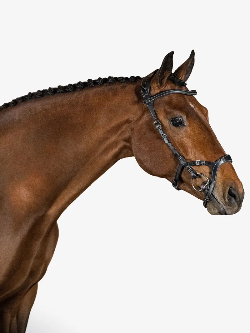 PS of Sweden Nirak Bridle Black-4