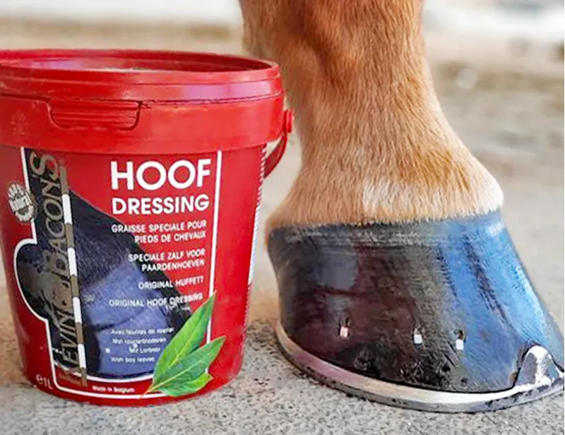 Kevin Bacon's Hoof Dressing Original - 5 lt-1