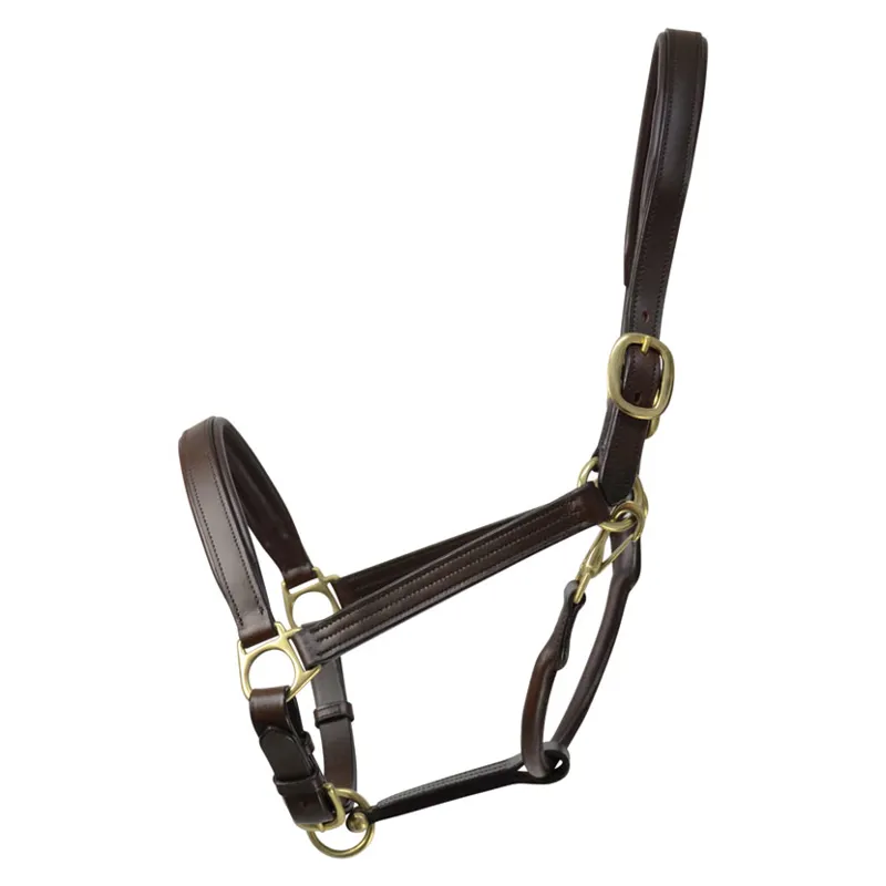 Coldstream Leather Padded Head Collar - Brown