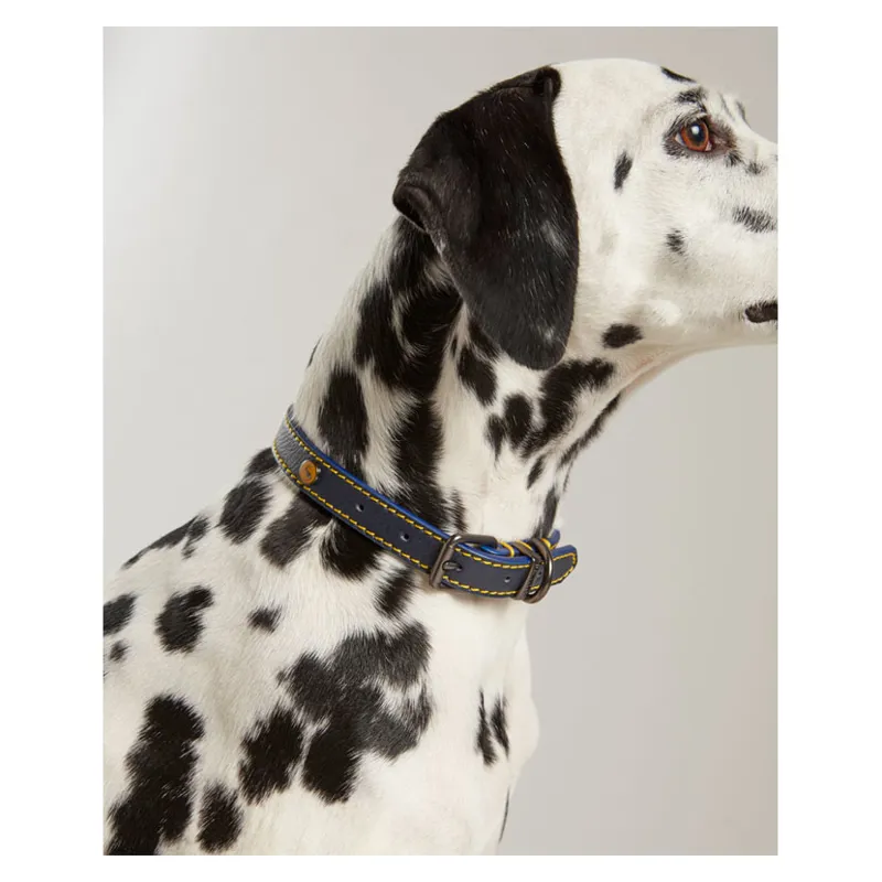 Joules Leather Dog Collar Navy