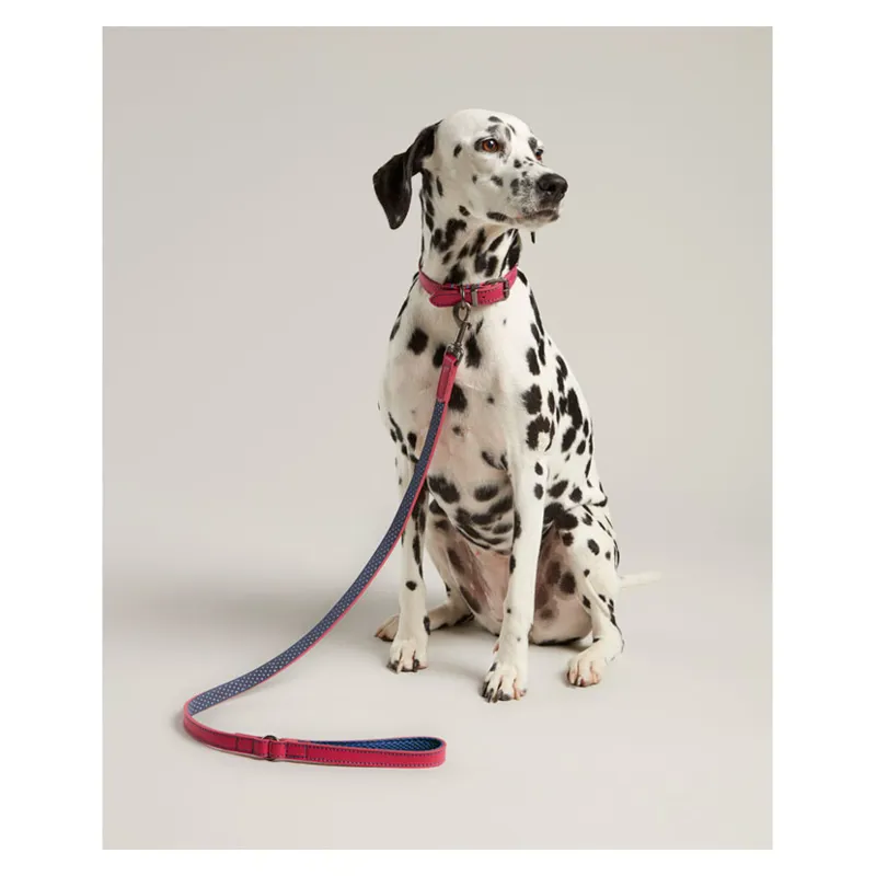 Joules Leather Dog Lead Pink-1