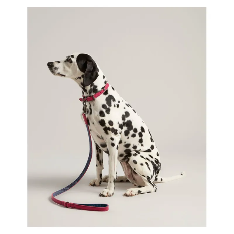 Joules Leather Dog Lead Pink-3