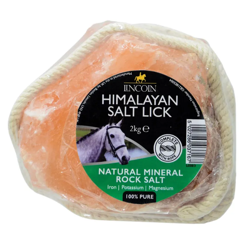 Lincoln Himalayan Salt Lick-1