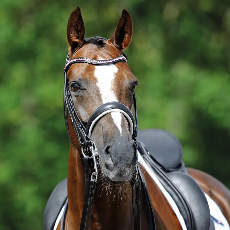 Passier Hubertus Schmidt Double Bridle Rose Gold Luxury Edition-1