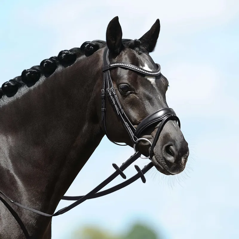 Passier Blu Spirit Snaffle Bridle Black-1