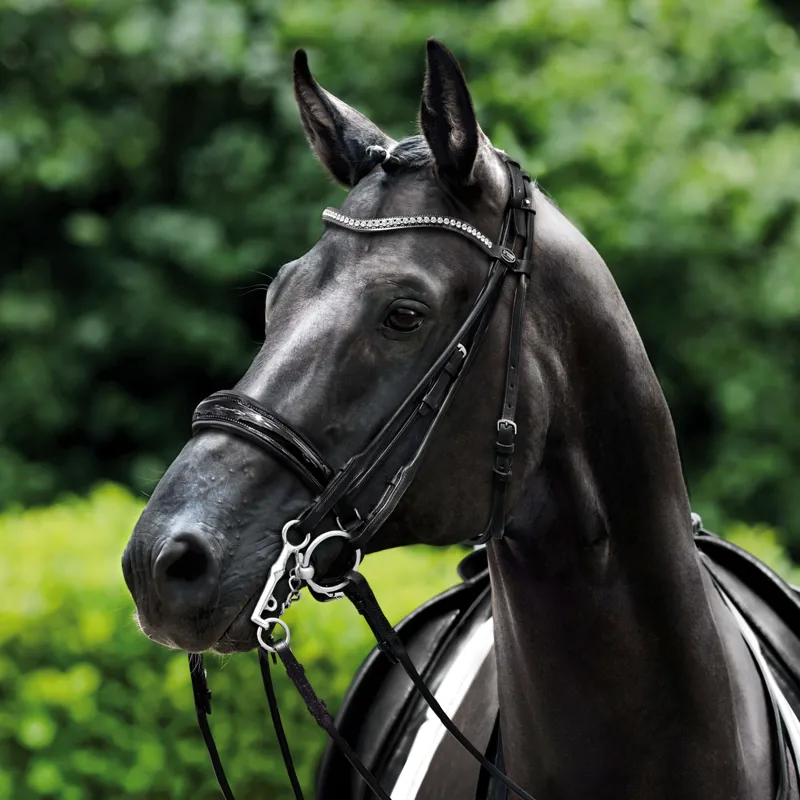 Passier Icarus Rolled Double Bridle Black-1
